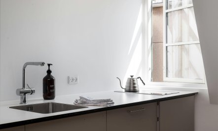 Silver Elderflower 6