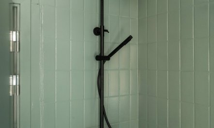 Silver Elderflower 9