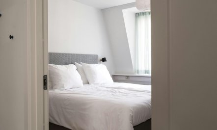 Silver Elderflower 7