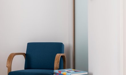 Silver Elderflower 2