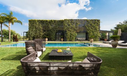Sicilian Trellis 2