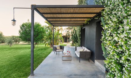 Sicilian Trellis 3
