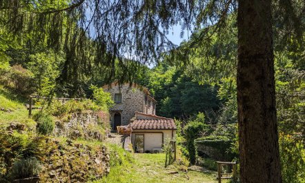 The Mill of Dreams 2