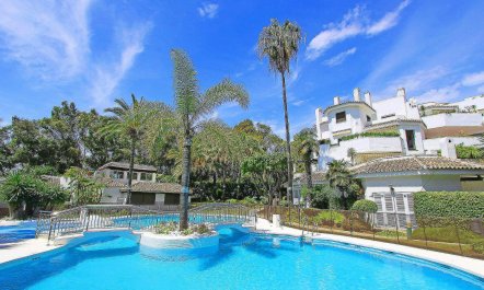 Like the Shining Sun 1