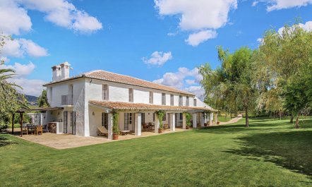 The Pick of the Flowers 1