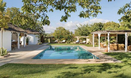 The Pick of the Flowers