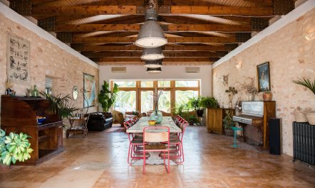 The Palm Tree Breeze 2