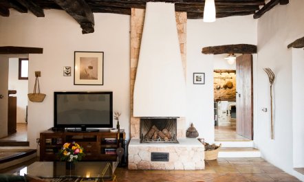 The Palm Tree Breeze 4