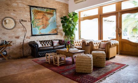 The Palm Tree Breeze 6