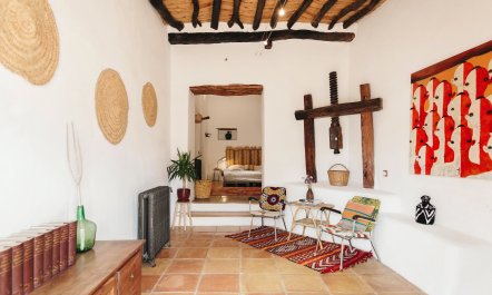 The Palm Tree Breeze 5