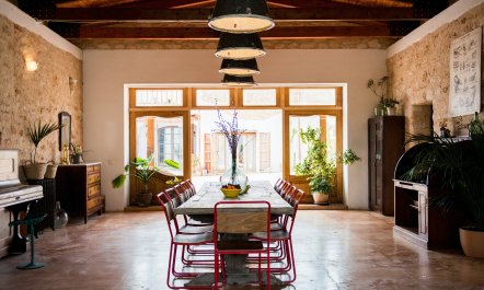 The Palm Tree Breeze 3