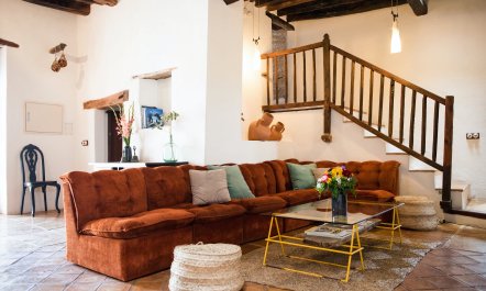 The Palm Tree Breeze 7