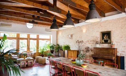 The Palm Tree Breeze 1