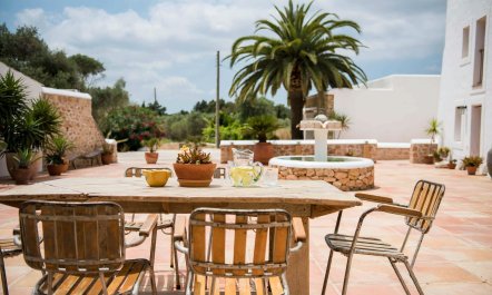 The Palm Tree Breeze