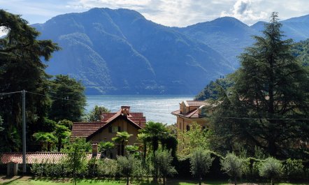 Bellagio Dream 4