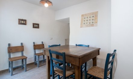 Under the Fig Tree 6