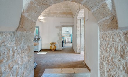 Under the Fig Tree 4