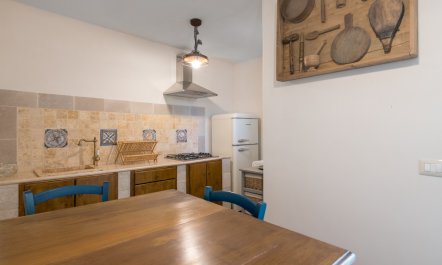 Under the Fig Tree 7