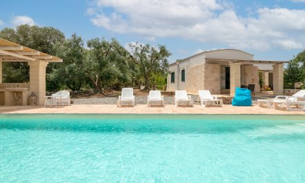 Under the Fig Tree 1