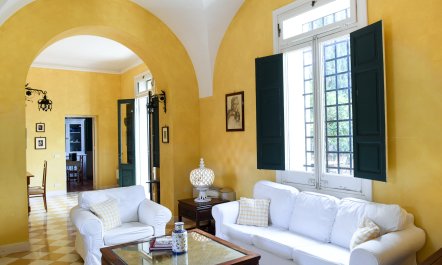 Castles & Olive Groves 7