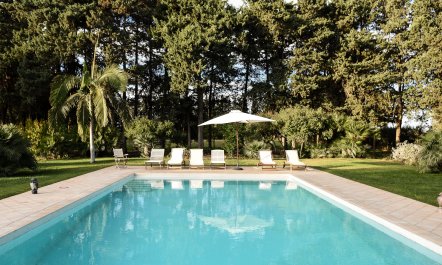 Castles & Olive Groves 1