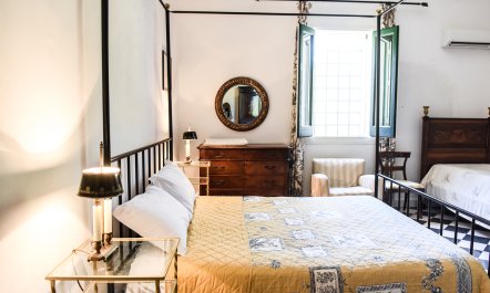 Castles & Olive Groves 2