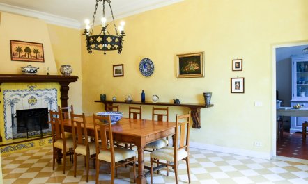 Castles & Olive Groves 5
