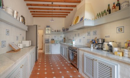Castles & Olive Groves 7