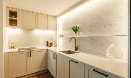 The Rose of the City 9