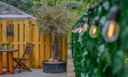 2 Bed in Fordingbridge 1