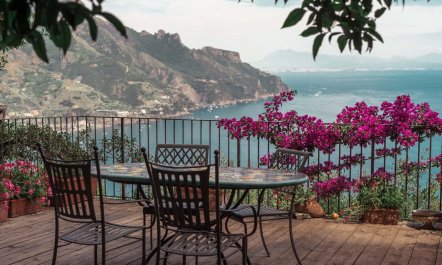 Lemon Vista 1
