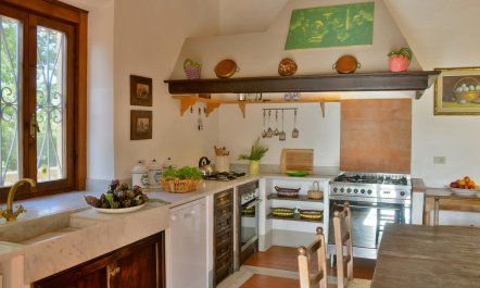 An Olive Retreat 6