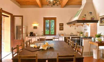 An Olive Retreat 5