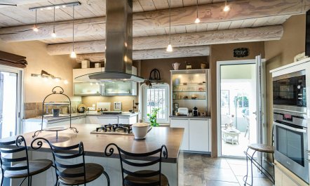 Under The Linden Tree 3