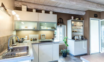 Under The Linden Tree 4