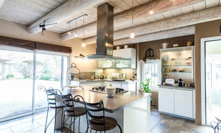 Under The Linden Tree 2