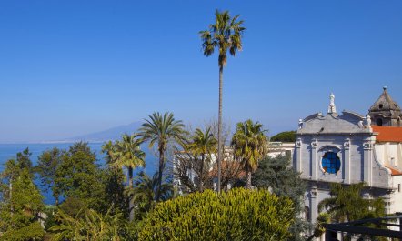 Amalfi Dreams