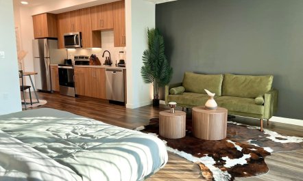 The Hollywood Star 3