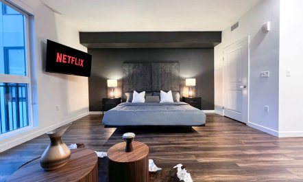 The Hollywood Star 7