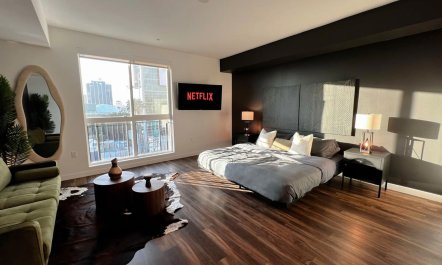 The Hollywood Star 6