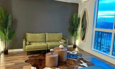 The Hollywood Star 2