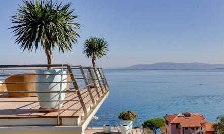 Peninsula Perfection