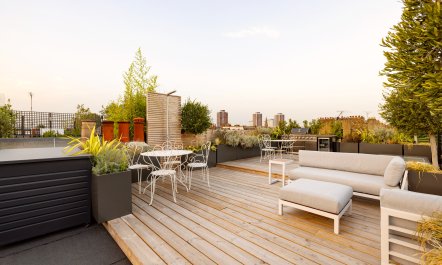 Rooftop Revelry