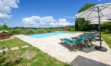 Campi di Lavanda 4
