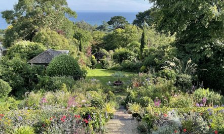 Lyme Regis Majesty 1