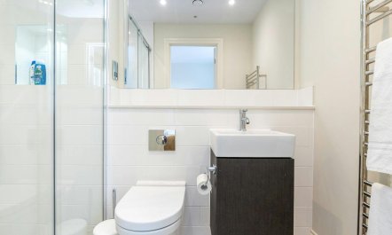 The Georgian Embrace 7