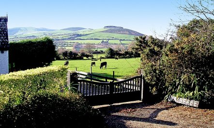 1 Bed in Woodenbridge 9