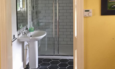 1 Bed in Woodenbridge 8