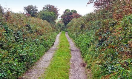 1 Bed in Dungarvan 8