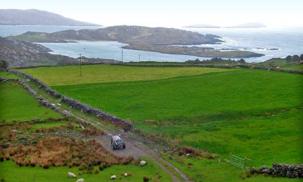 4 Bed in Caherdaniel 8